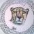 Gepard von