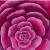 Rose von Va Pensiero - Atelier Irene Fellner