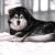 Alaskan Malamute im Schnee von