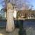 Fee von