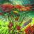 Wildlife under Water 1 von Pseudonymuse