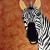 Zebra von Anja Laier