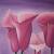 Callas von Einfach Kunst