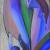 tree of live von