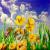 Spring von A.Vinci