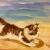 Katze am Strand von Viktoria von Schloss Föckelberg