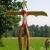 Totem Adler von