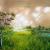 Fantastic Nature von Gena