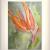 Blume von