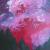 Wild Universe von Katharina Anastasia