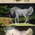 Pferd und Luchs von Trude Unruh