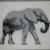 Elephant von Ip0w4
