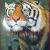 "Tiger" von Inge Mostowy