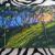 Forest von Mady