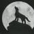 Wolf von