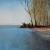 An der Elbe von Michael Haack