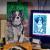 Cavalier King Charles Spaniel von Palkovka