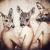 Hunting Season von Shirin Donia