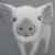 Oink,oink von pattex