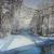 Birkenwerder-Winter von Hannes Salzmann