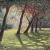 Licht und Schatten von