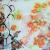 Orange flowers von