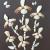 Muschelbild - Blumen von
