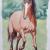 Das Pferd von