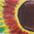 Sommersonne von