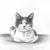 Katze, liegend von ForgottenScrawl