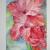 285 / Rote Gladiole von Monika Pieper