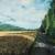 fields of summer II von