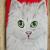 LE CHAT von max deperrois