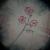 Opium von