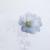 Stockrose von