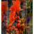 Florales (Geranie) von GeSche