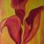 Callas von