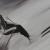 Black Snow Ride von