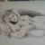 Rose von A.H Artworks