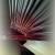 art work 19s von bernd hiep