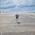 Norddorf/Strand von pattex