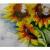 Sonnenblumen Aquarell von galerie-rosa