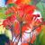 Blumen von
