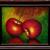 The ripe cherries von Igor Status