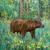 Im Wald von