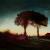 sunset von Michael Haack