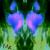 Horse.ME. von MK:MK