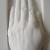 die Hand von georg gensler