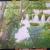 Orchideen in der Natur von Neshka