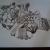 Zentagle von